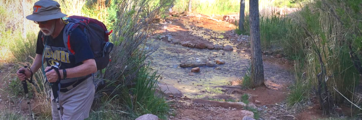 Hips are Made for Hiking