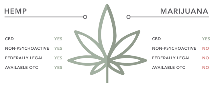 CBD FAQ - differences